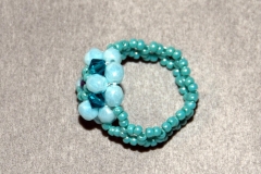 Gy20 (2)